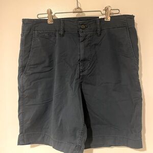 American Eagle Outfitters Blue Flat Front Shorts